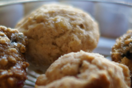 Mini Muffins- Bake Ahead and Freeze