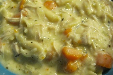 Creamy Chicken Noodle Soup Instant Pot Recipe