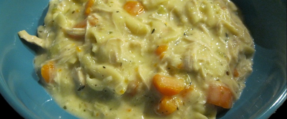 Creamy Chicken Noodle Soup Instant Pot Recipe