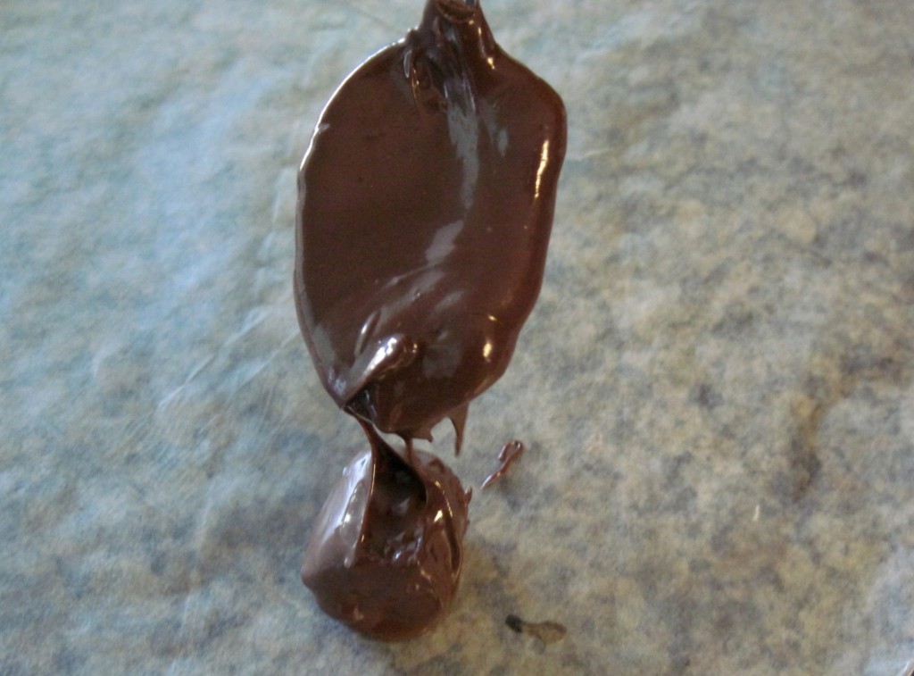 Chocolate Covered Cherries