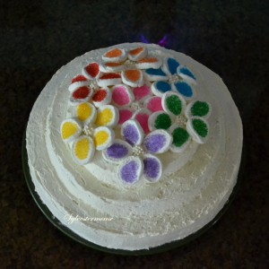 Tier Cake Decorated with Marshmallow Flowers