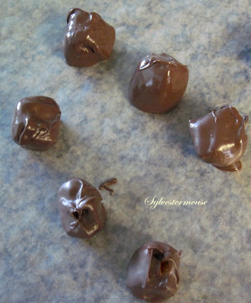 Chocolate Covered Pineapple Chunks