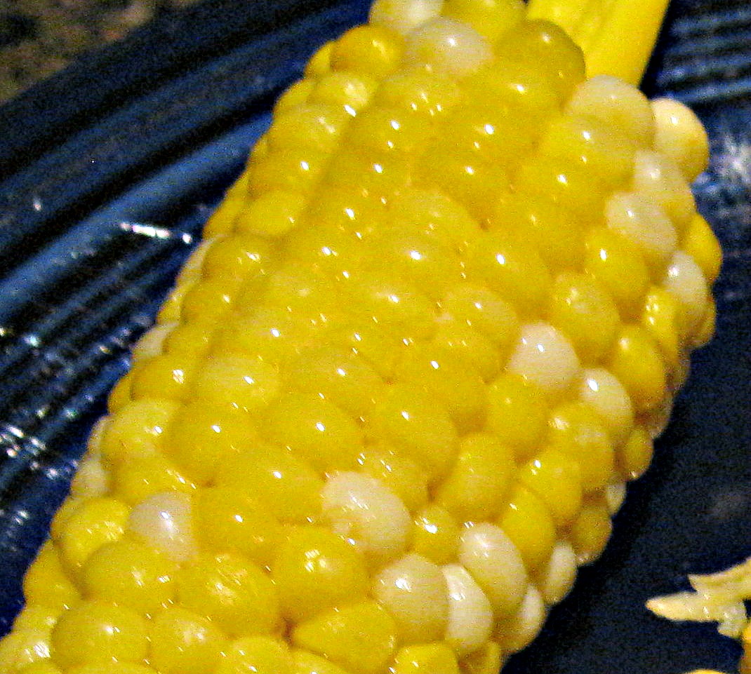 How to Cook Corn on the Cob