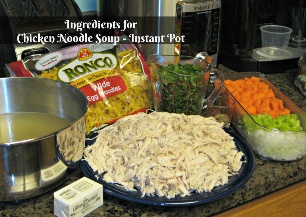 Chicken Noodle Soup Instant Pot Recipe